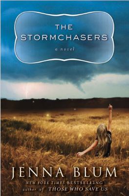 The stormchasers : a novel /