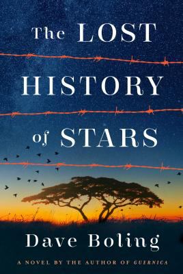 The lost history of stars : a novel /