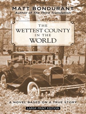 The wettest county in the world : [large type] : a novel based on a true story /
