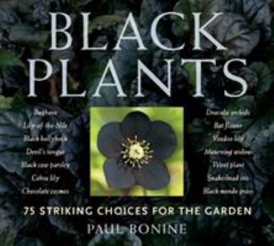 Black plants : 75 striking choices for the garden /