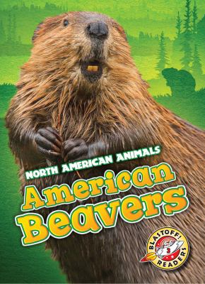American beavers /