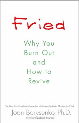 Fried : why you burn out and how to revive /