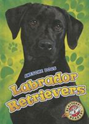 Labrador retrievers /