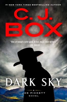 Dark sky : a Joe Pickett novel /