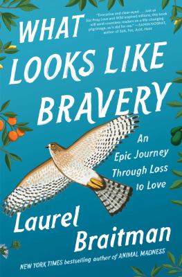 What looks like bravery : an epic journey through loss to love /