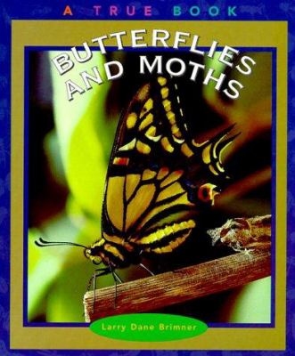 Butterflies and moths /