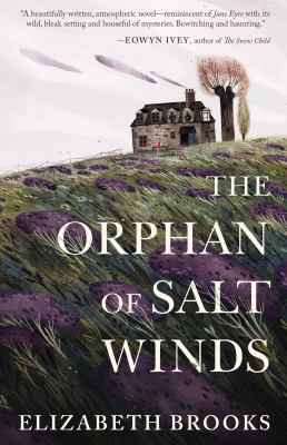 The orphan of Salt Winds /