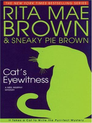Cat's eyewitness [large type] /