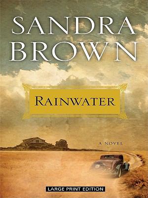 Rainwater [large type] : a novel /