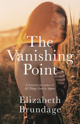 The vanishing point : a novel /