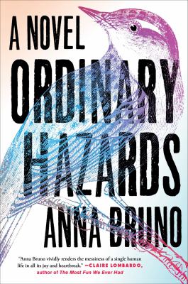 Ordinary hazards : a novel /