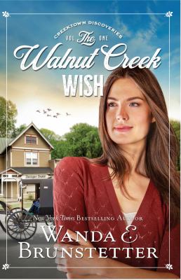The Walnut Creek wish [large type] /