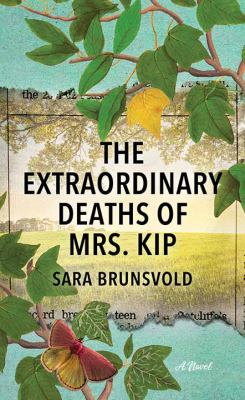 The extraordinary deaths of Mrs. Kip : [large type] a novel /