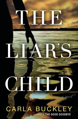 The liar's child : a novel /