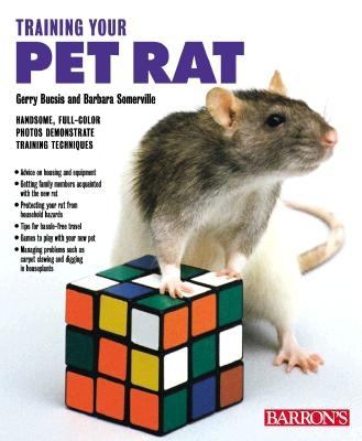 Training your pet rat /