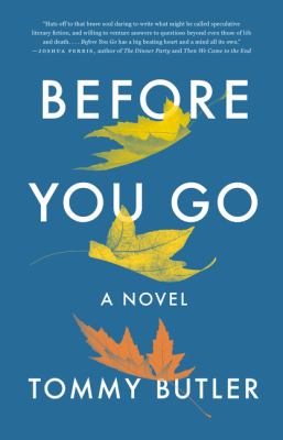 Before you go : a novel /