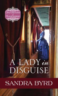 A lady in disguise [large type] : a novel /