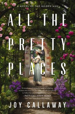 All the pretty places : a novel of the Gilded Age /