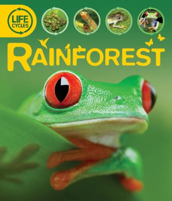 Rainforest /