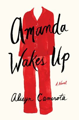 Amanda wakes up [large type] /