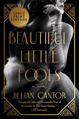 Beautiful little fools : [large type] a novel /