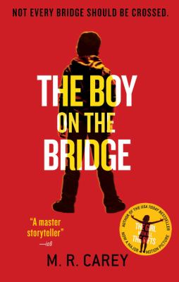 The boy on the bridge /