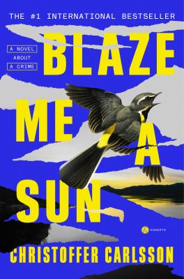 Blaze me a sun : a novel about a crime /