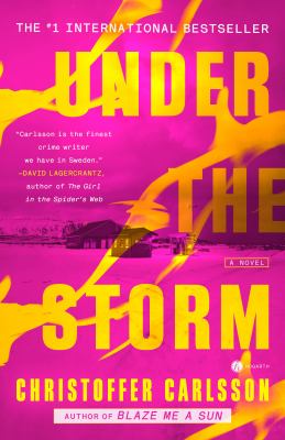 Under the storm : a novel /