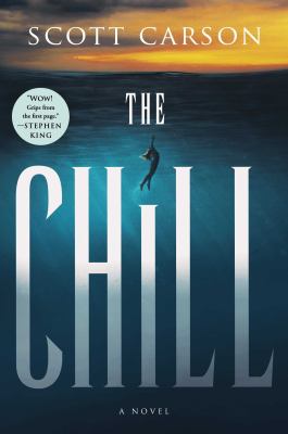 The chill : a novel /