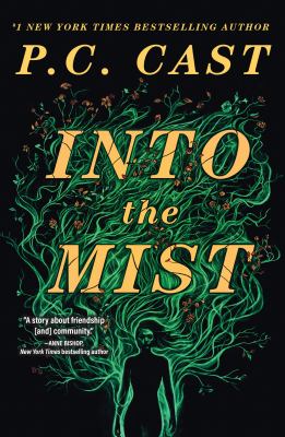 Into the mist : a novel /