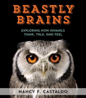 Beastly brains : exploring how animals talk, think, and feel /