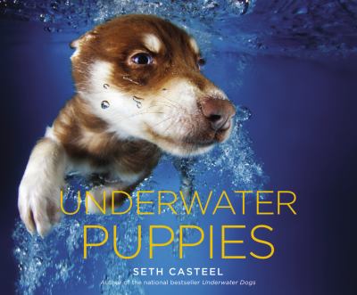 Underwater puppies /