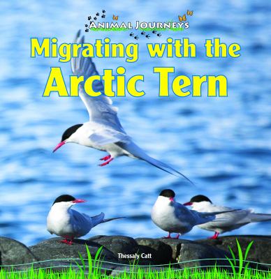 Migrating with the Arctic tern /
