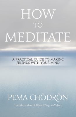 How to meditate : a practical guide to making friends with your mind /