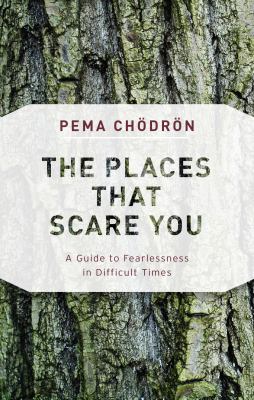 The places that scare you : a guide to fearlessness in difficult times /