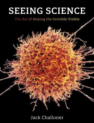 Seeing science : the art of making the invisible visible /