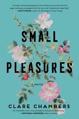 Small pleasures a novel /