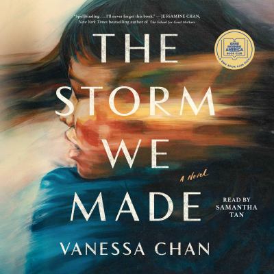 The storm we made [eaudiobook] : A novel.