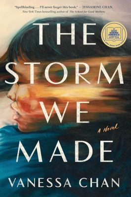 The storm we made : a novel /