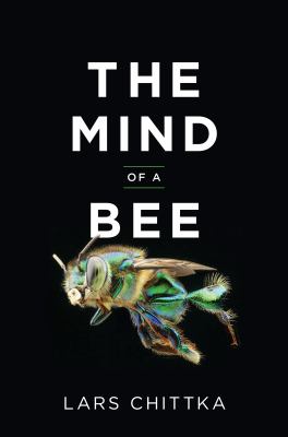 The mind of a bee /
