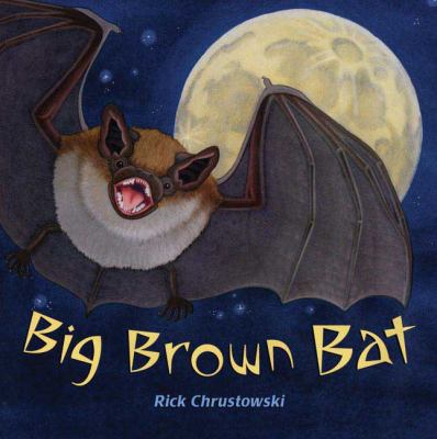Big brown bat /