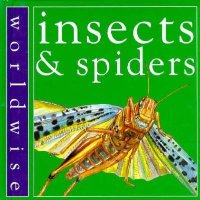 Insects & spiders /