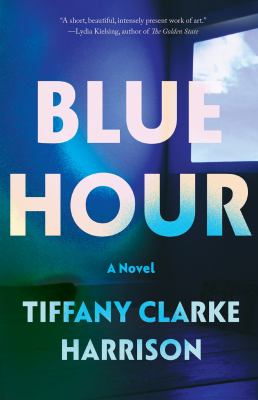 Blue hour : a novel /