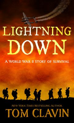 Lightning down : [large type] a World War II story of survival /