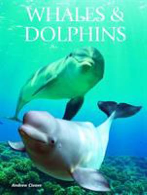 Whales & dolphins /