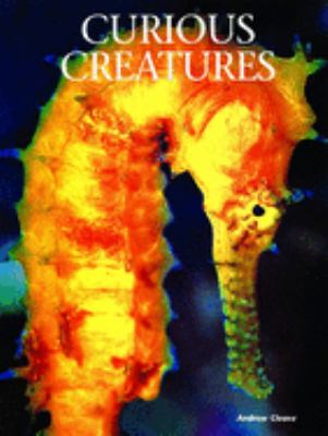 Curious creatures /
