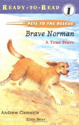 Brave Norman : a true story /