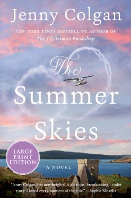 The summer skies : [large type] a novel /