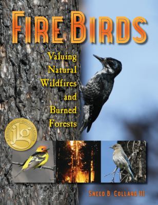 Fire birds : valuing natural wildfires and burned forests /