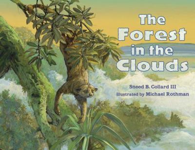 The forest in the clouds /